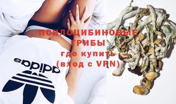 стаф Алзамай